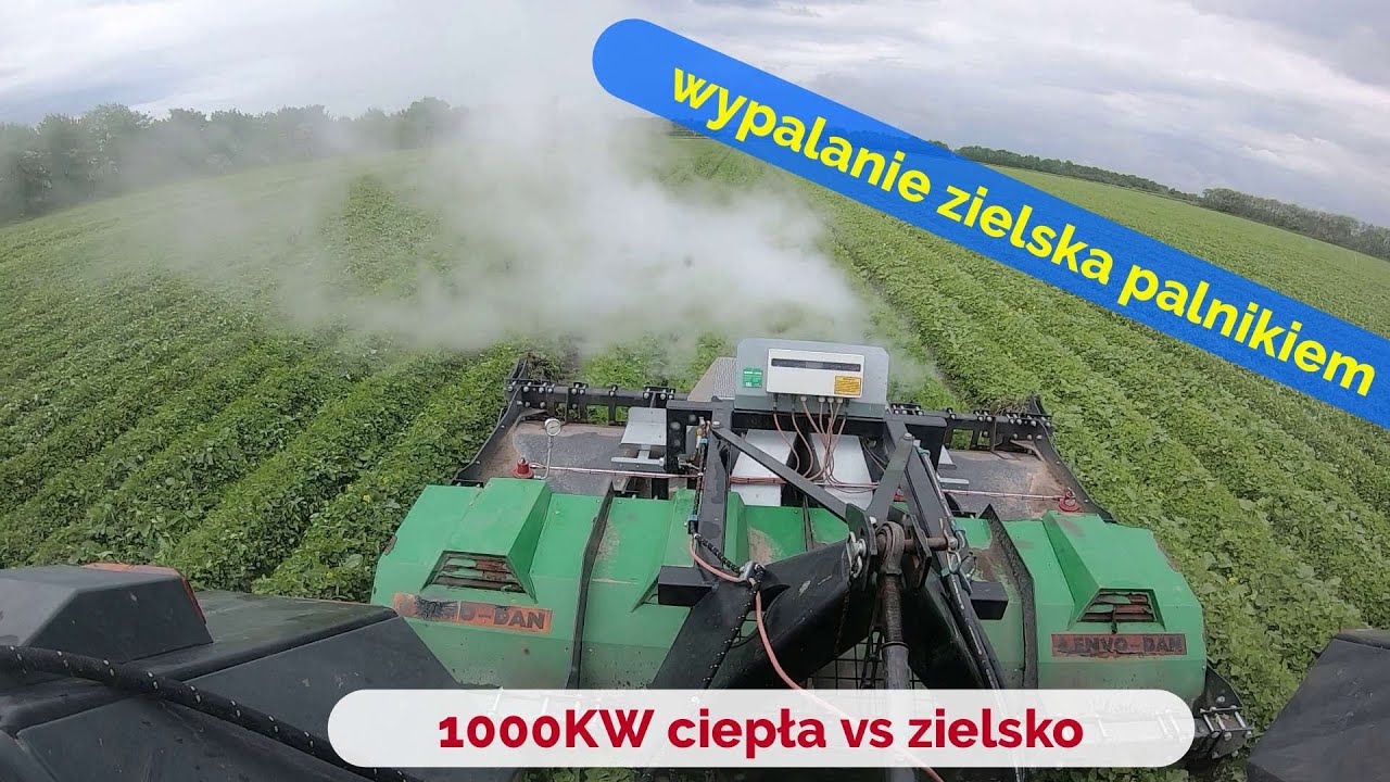 🔴👉WYPALANIE  ZIELSKA  W ZIEMNIAKACH PALNIKIEM🔥🔥🔥AWARIA MASZYNY NA POLU 😐🚜