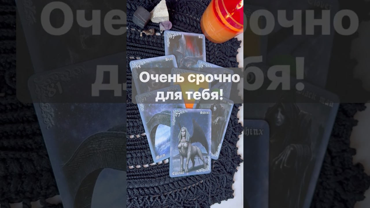 ❗️Информация с Потока... 🌓✨ Расклад таро #таро #tarot #таролог