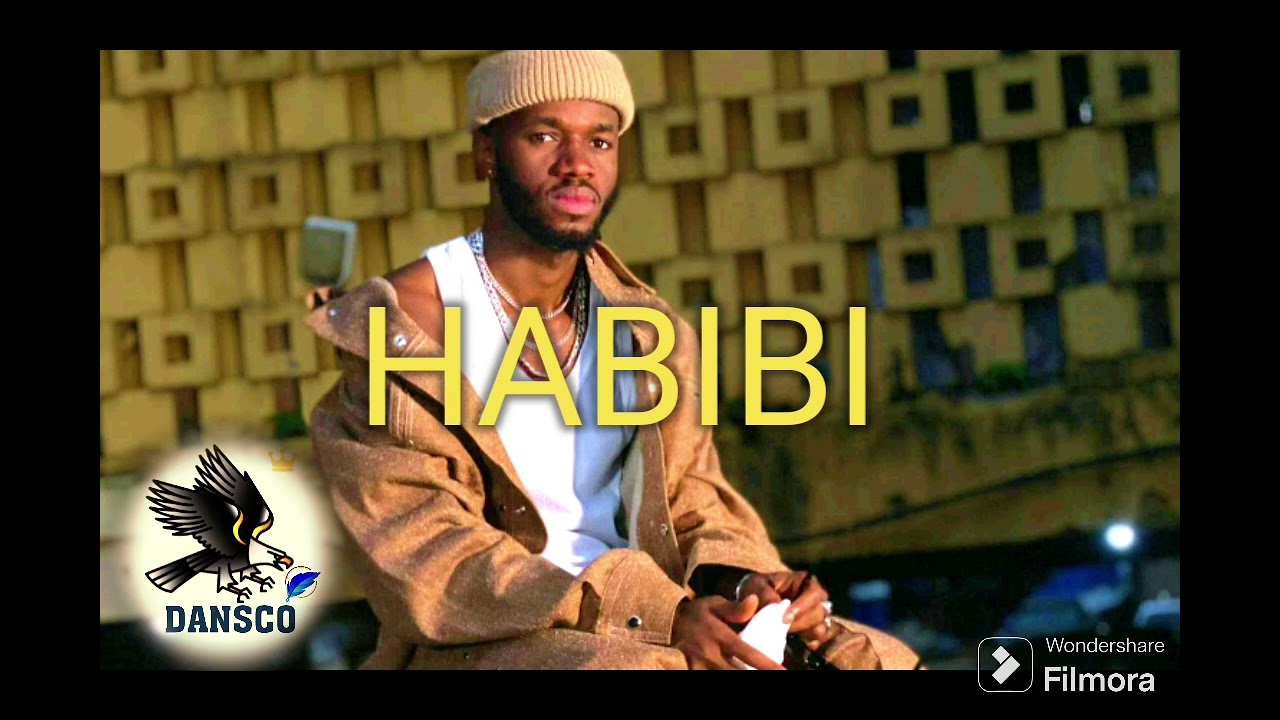 Saifond _HABIBI_afro_zouk_but X 2026