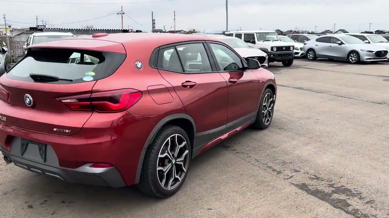 BMW X2 sDrive18i M Sport X.