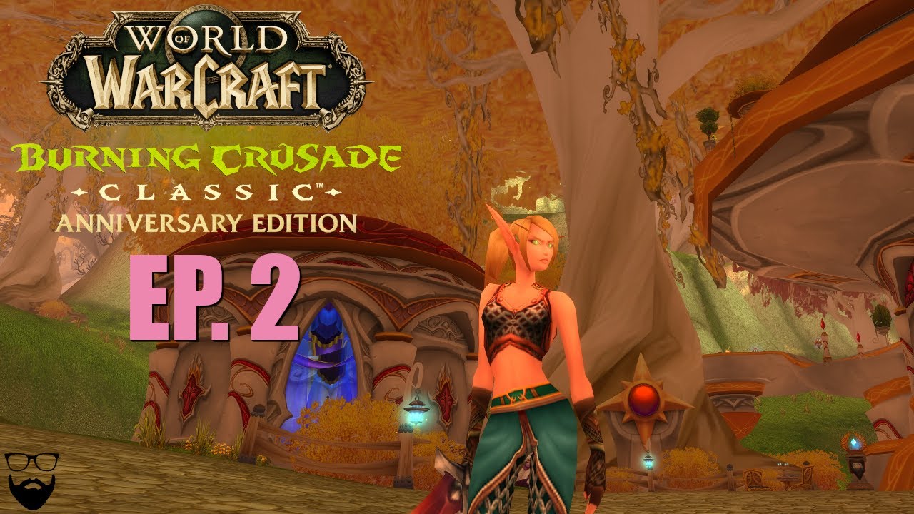 World of Warcraft The Burning Crusade Classic - Paladin - Part 2 - Dreamcythe US - Chill Leveling