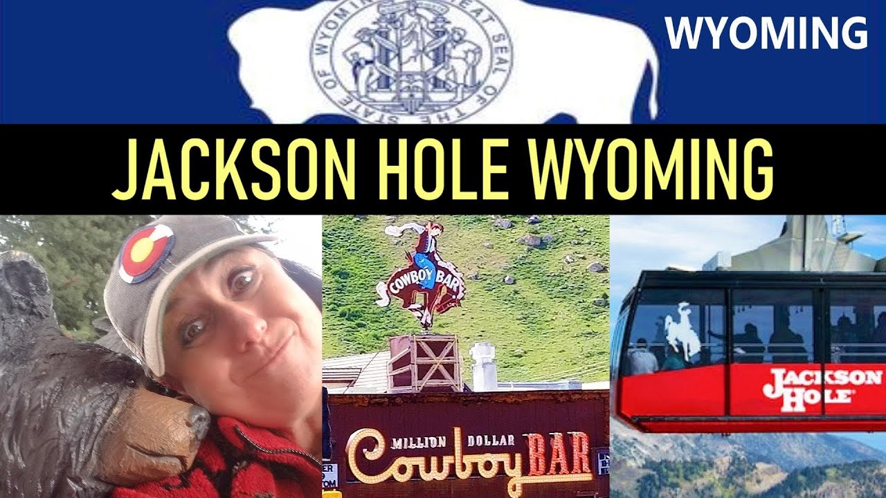 Jackson Hole Wyoming | BEST HOTEL | GREAT BARS & RESTRANTS | Teton Village | Jackson WY | Wildlife