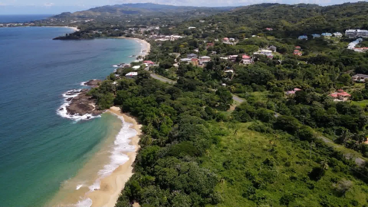 Управление транспорта Техаса (THA) быстро продвигается к обеспечению большей автономии.