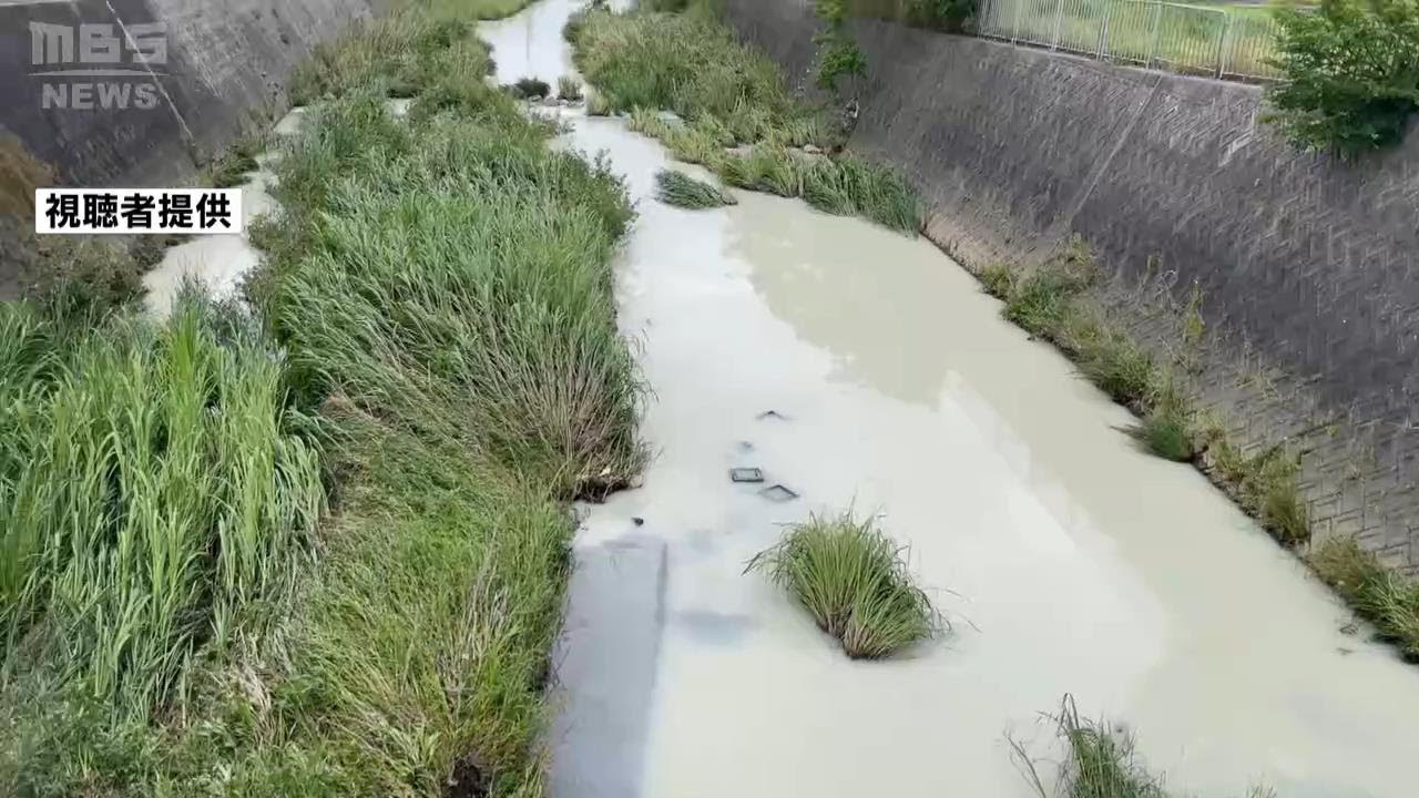 【映像】住宅街の川が突然「白く濁る」一体なぜ？堺市の2級河川「和田川」が白濁　塗料が流れ出た可能性 　（2024年5月31日）