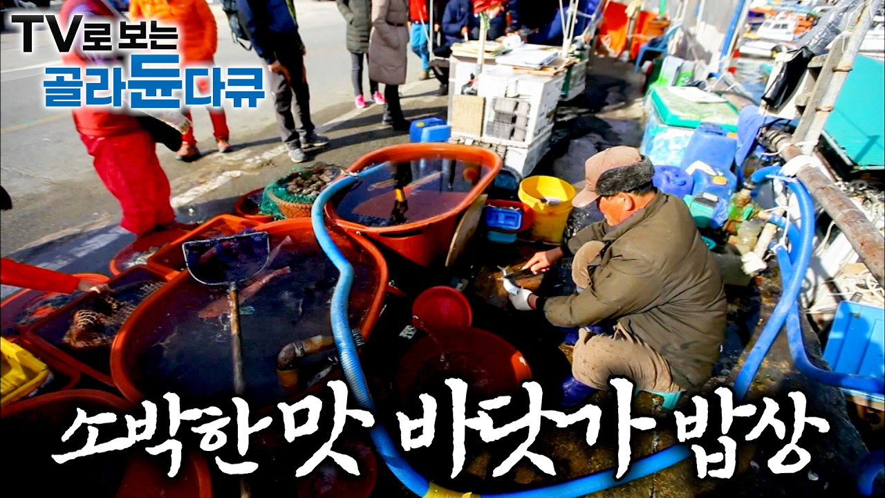 🐟소박해도 든든한 한 상. 잡자마자 썰어서 도란도란 둘러앉아 먹는 신선한 바다 밥상🐟｜바닷마을 밥상 1시간 몰아보기｜한국기행｜#tv로보는골라듄다큐