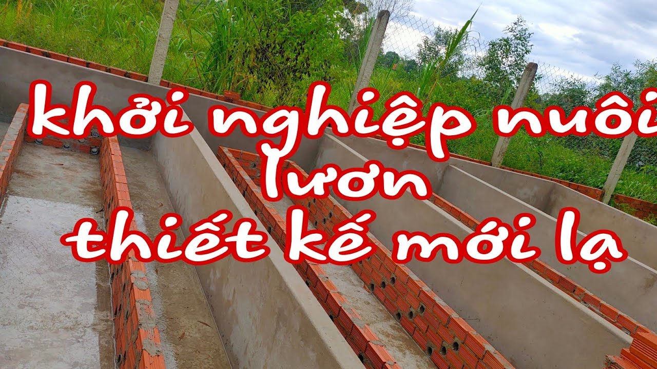 Xây hồ nuôi lươn sinh sản| mô hình nuôi ở Đức Hòa Long An