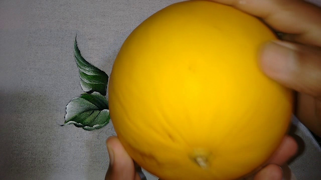 Roberto Ferreira- Pintura aprenda a fazer Melão e Folhas ( arte Mimética 3D)