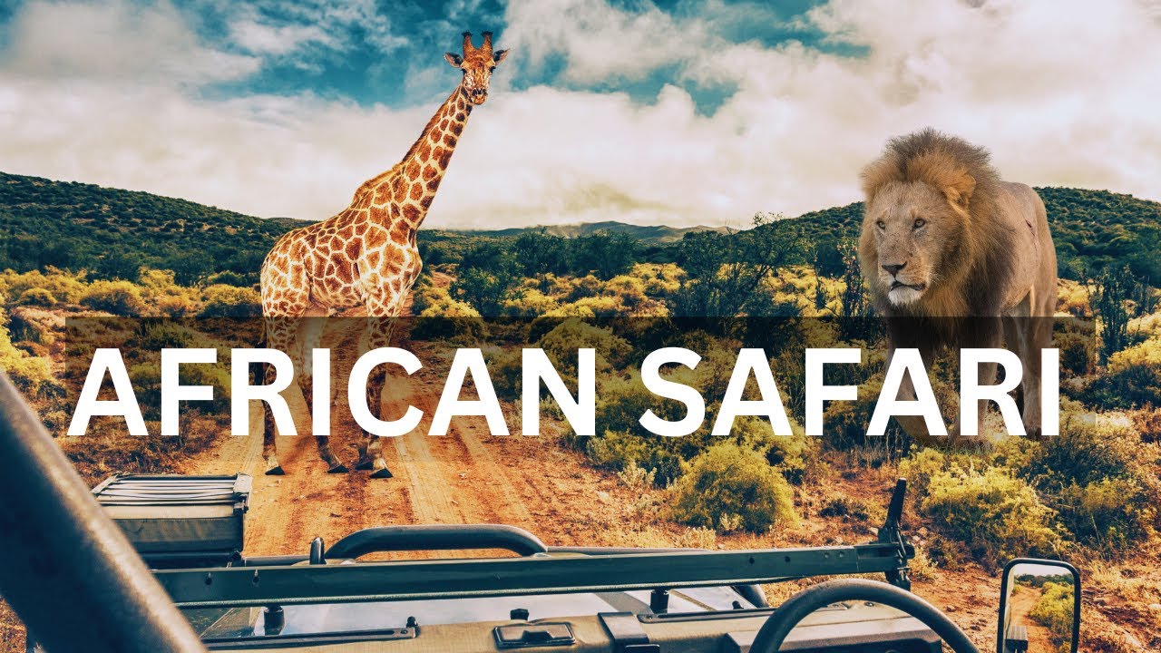 AFRICAN SAFARI | Ultimate African Safari Experience | Wildlife, Nature, and Adventure ||