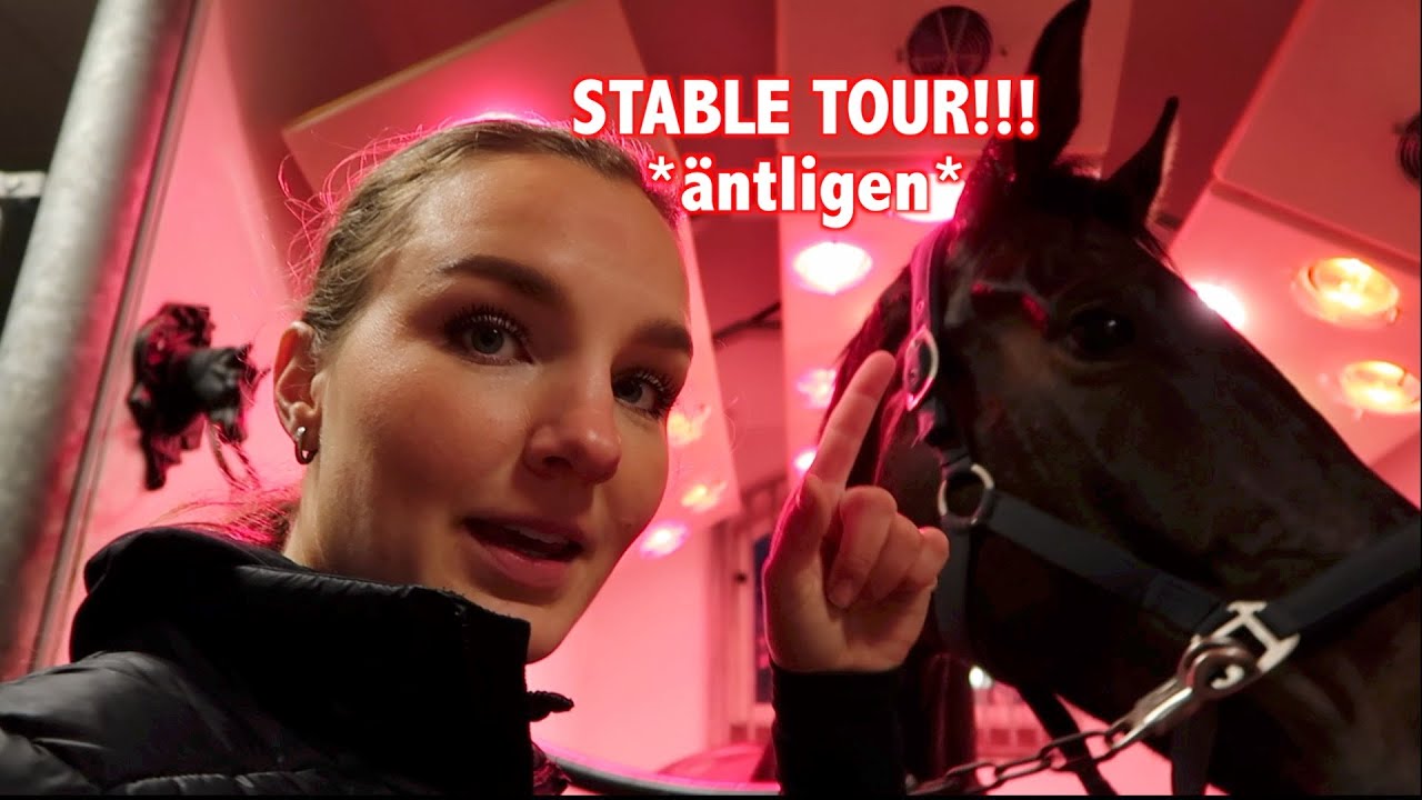 ♘ STALLVLOGG♘ VISAR MELVINS NYA HEM!