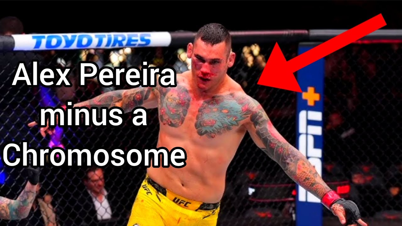 Rodolfo Bellato SURVIVES almost getting KOd to get a huge COMEBACK win