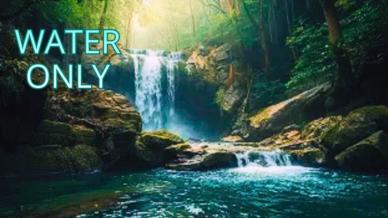 ASMR Water Sounds 💧 Forest Waterfall & Stream | No Music