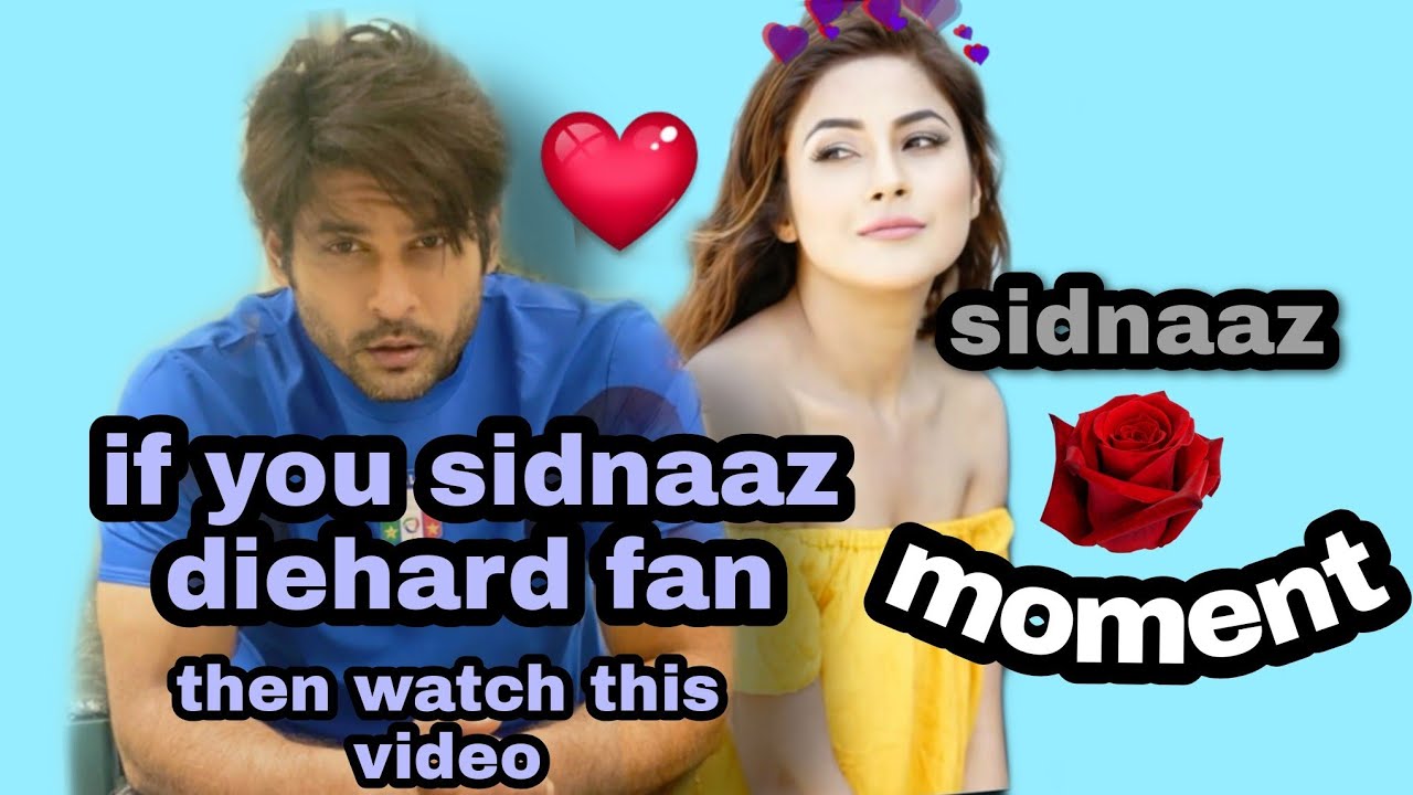 Sidnaaz moment 😍😍 | sidnaaz cute argument 😆😆 #sidnaaz # shehnaazgill
