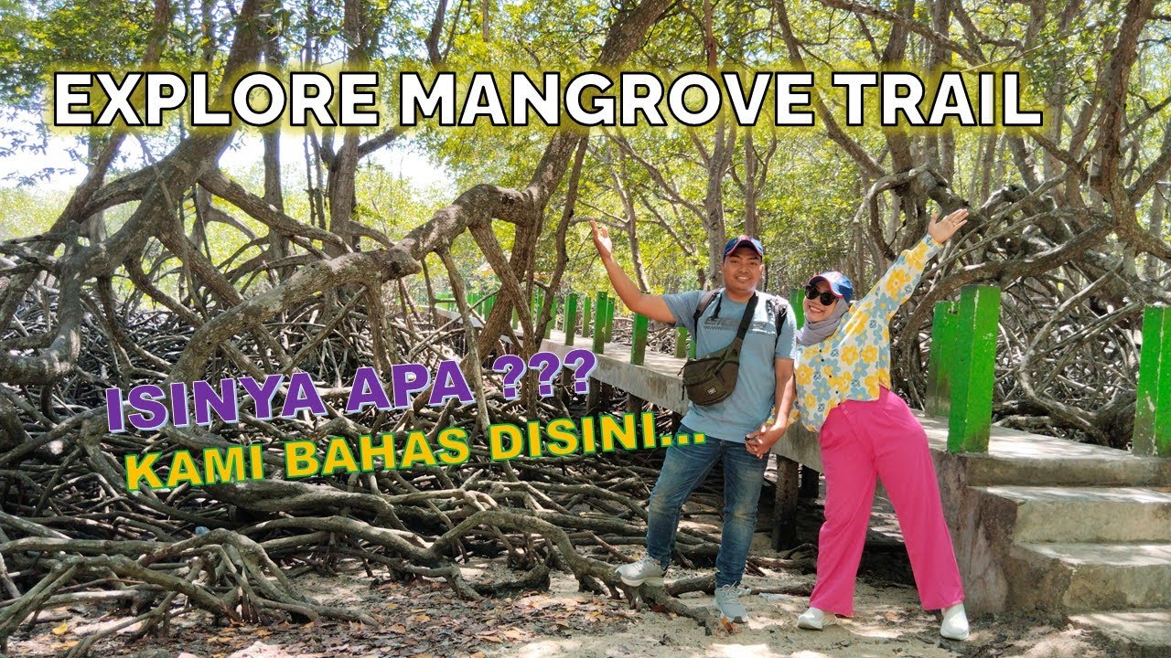 MANGROVE TRAIL BANYUWANGI