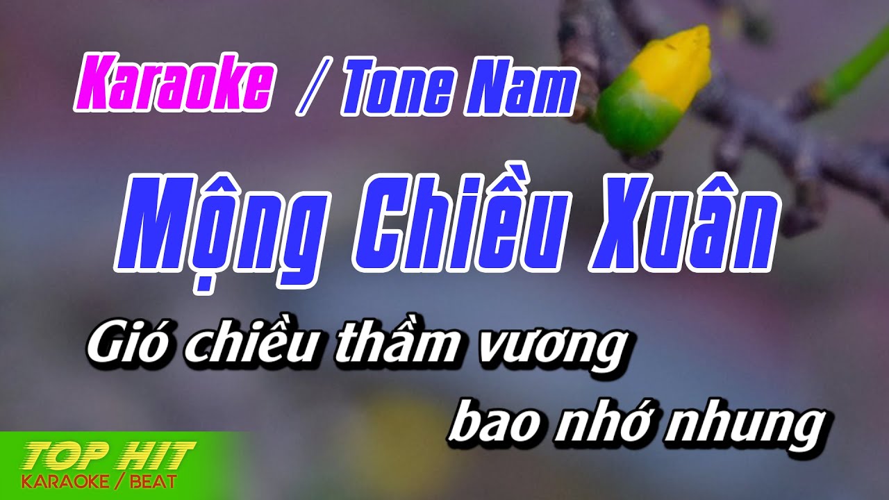 Mộng Chiều Xuân Karaoke Tone Nam | Nhạc Sống Dễ Hát TOP HIT KARAOKE