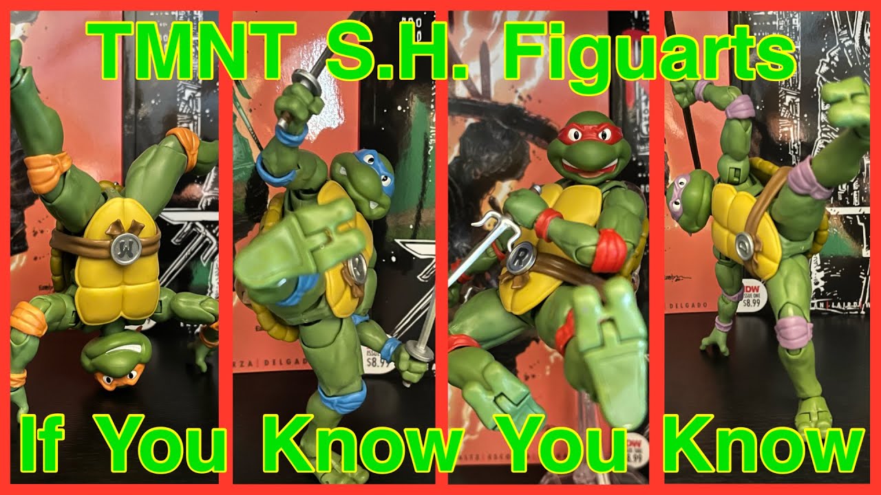 The S.H. Figuarts TMNT Figures Are Overshadowed Gems