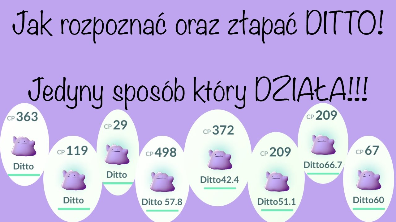 Pokemon GO | JAK ROZPOZNAĆ I ZŁAPAĆ DITTO? Nie gadam że się nie da tylko POKAZUJĘ JAK TO ZROBIĆ !