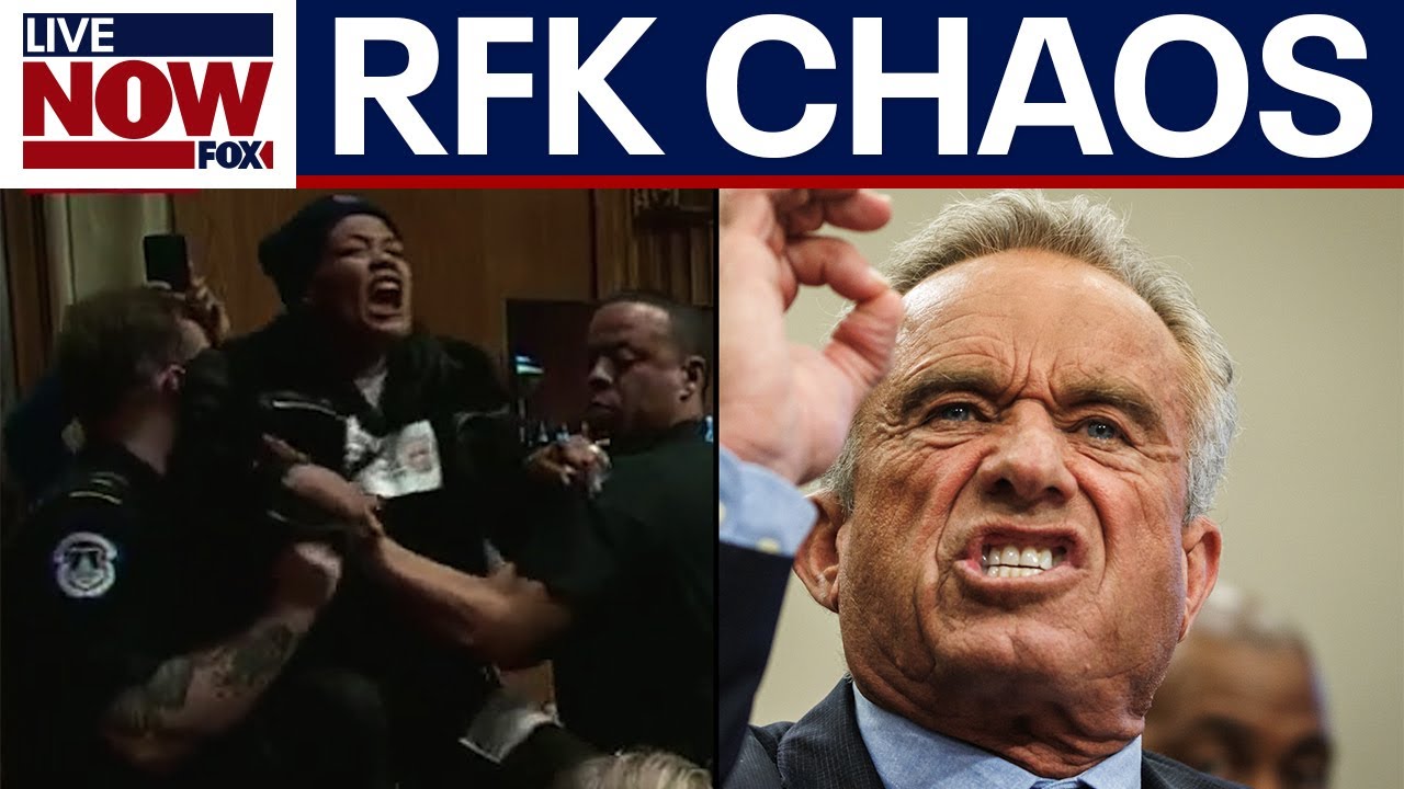 WATCH: Chaos erupts at RFK Jr. hearing