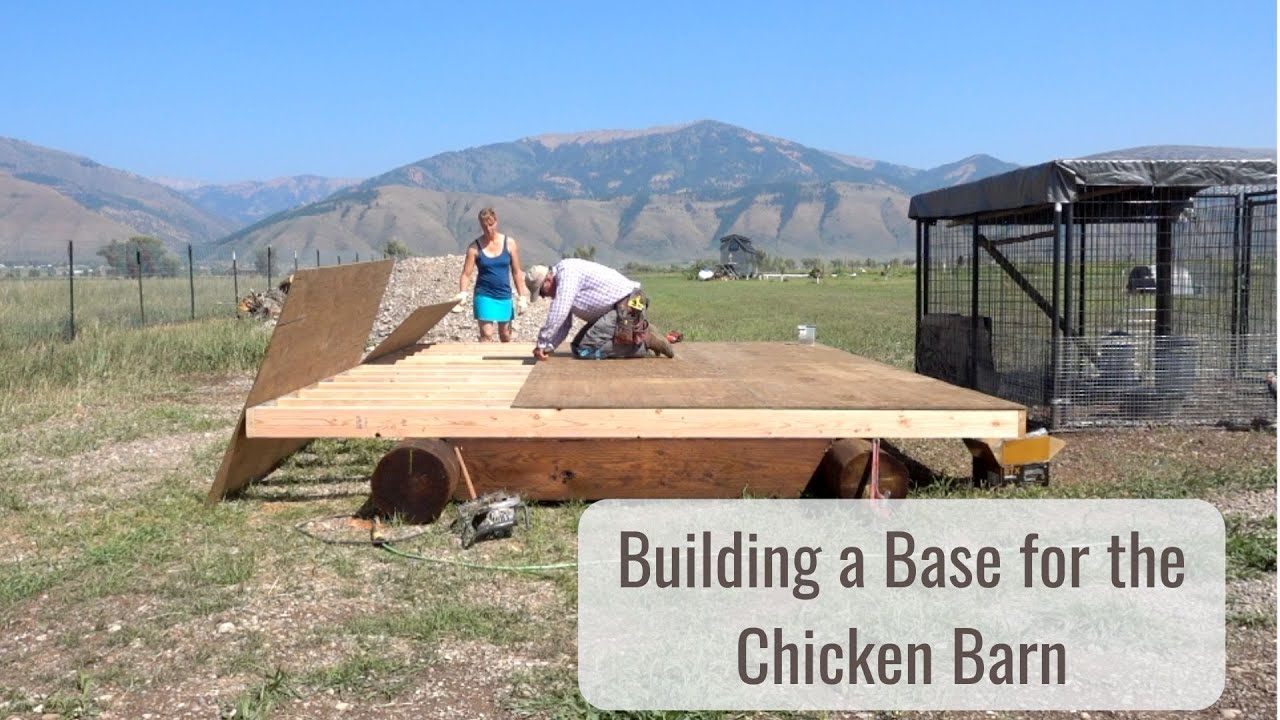 Building a Winter Home for the Chickens, Base Construction