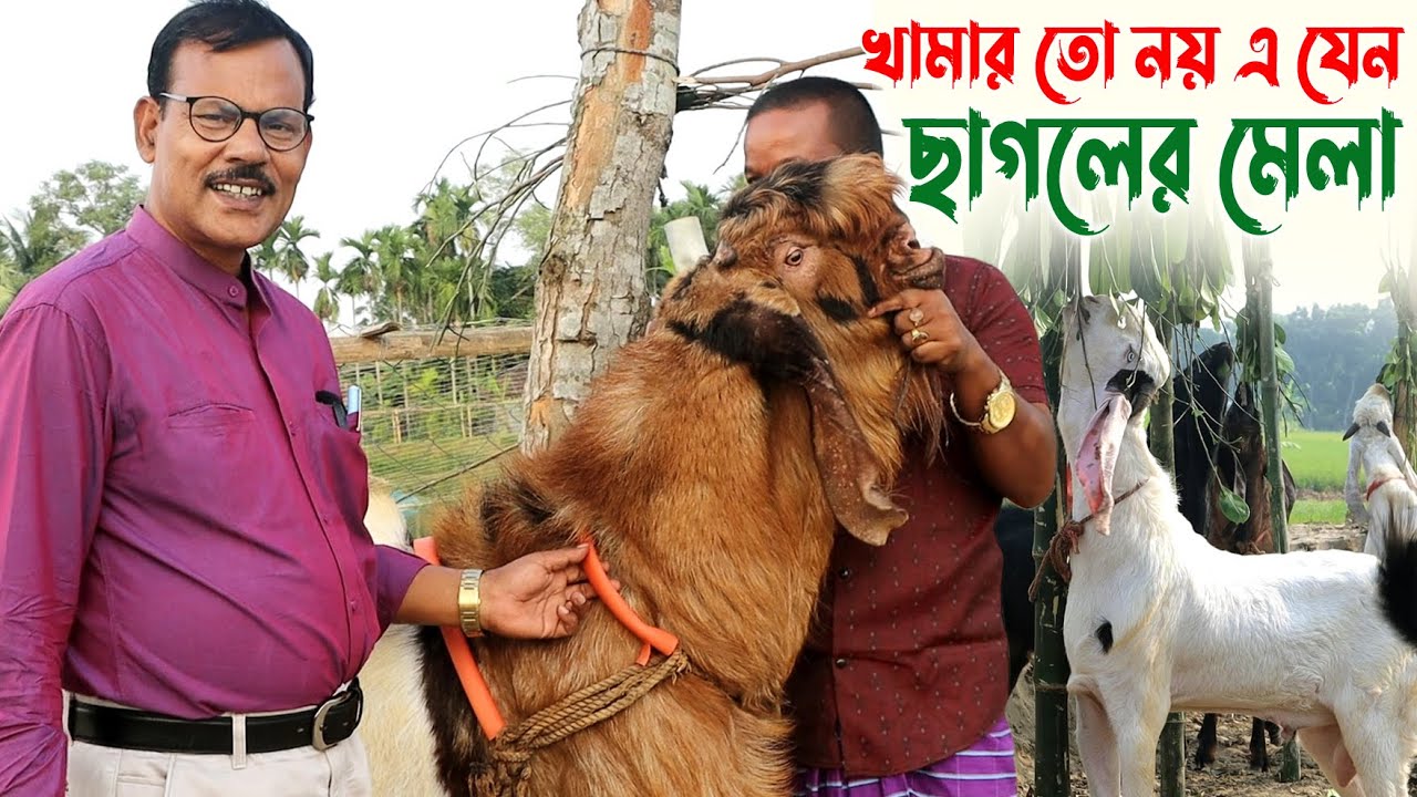 962- খামার তো নয় এ যেন বিশাল ছাগলের মেলা- র.ই মানিক চিত্রপুরী । R.I.Manik.Chitrapuri Krishichitra