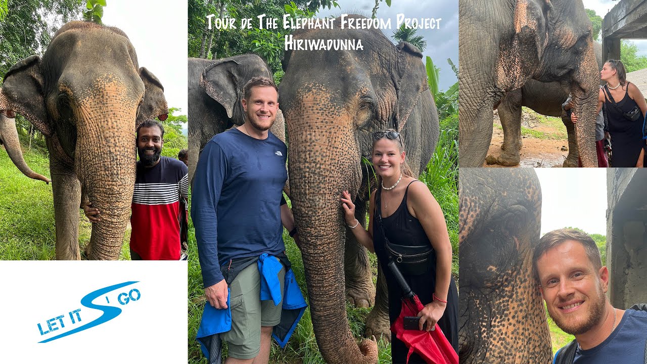Tour de The Elephant Freedom Project
