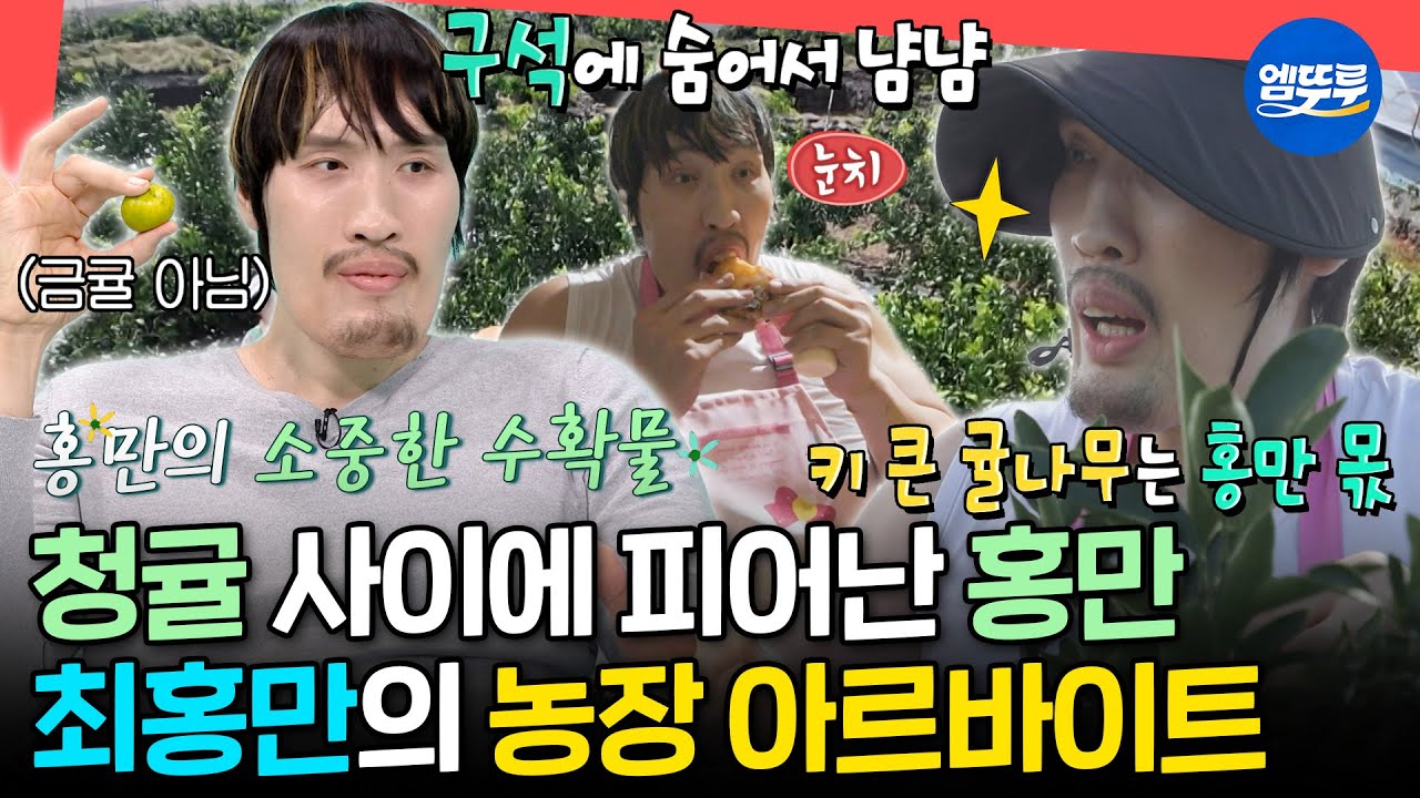 [전참시] 큰 덩치에 가려진 따뜻한 마음😊 매니저를 위해 귤 농장에서 아르바이트하는 최홍만🍊ㅣ#최홍만 MBC251011방송