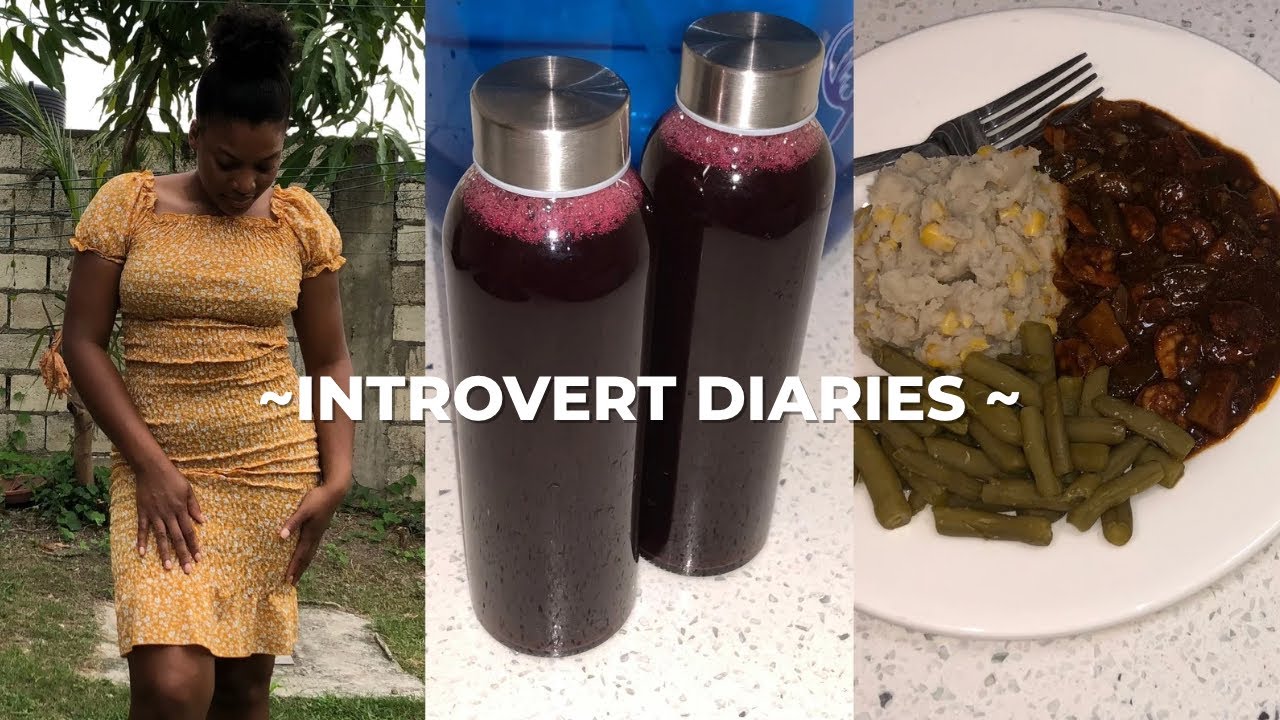 INTROVERT DIARIES | Day in My Life in Jamaica 🇯🇲