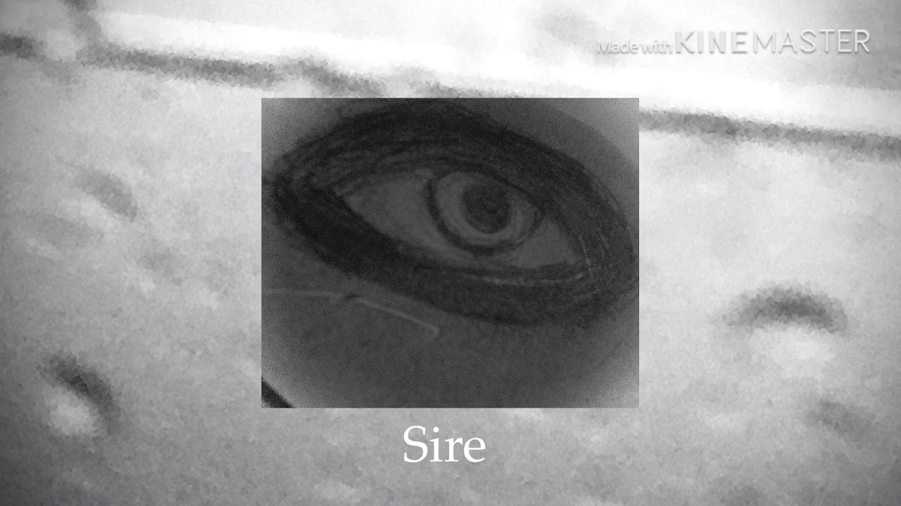 The wolf ( slowed/ daycore)