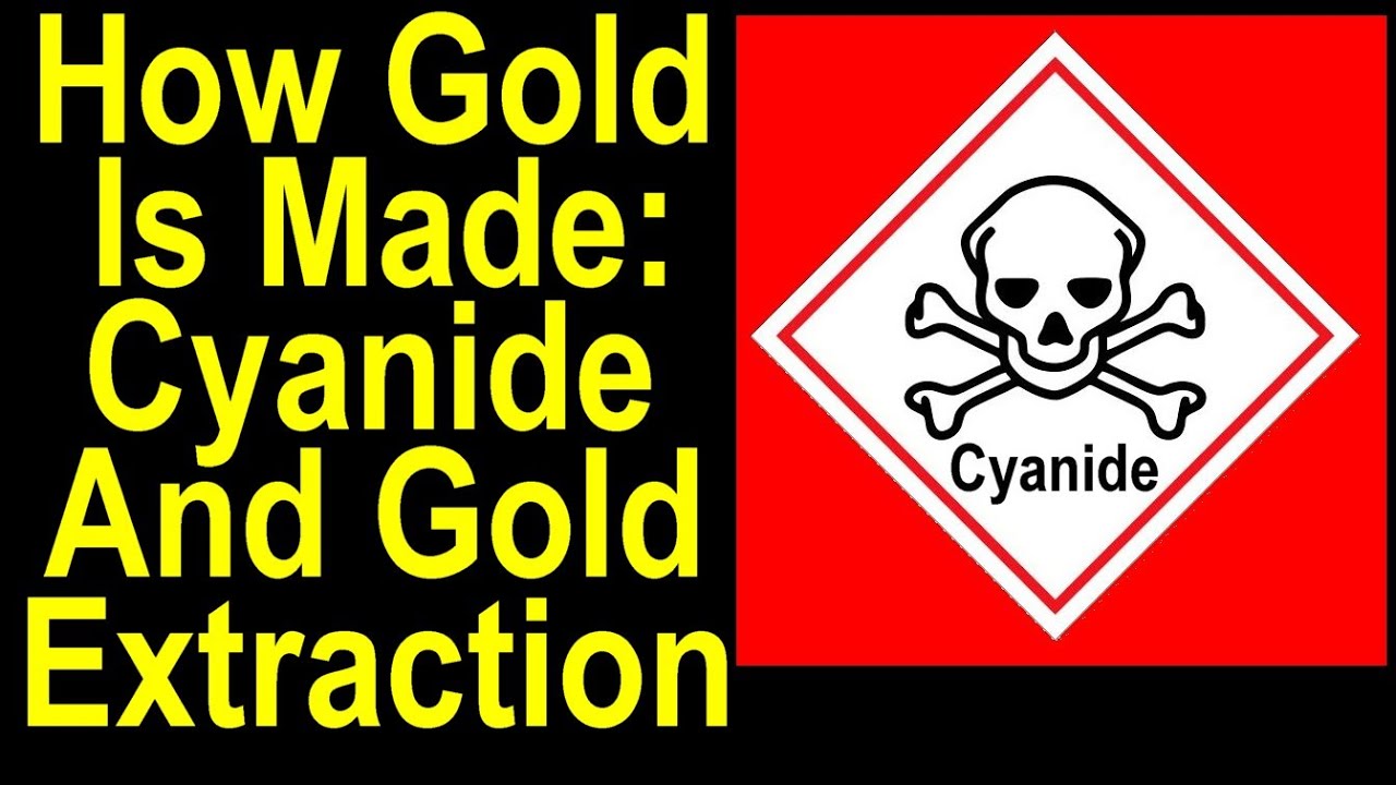 Gold Expert REVEALS the Shocking Truth About Cyanide Extraction