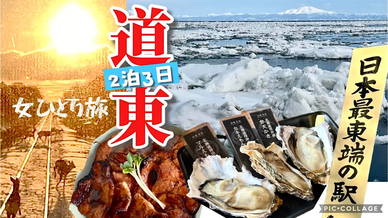 【女ひとり鉄道旅】冬の道東めぐり（2泊3日コース ）～ 絶景・グルメ・温泉・観光列車 ～【鹿いっぱい】