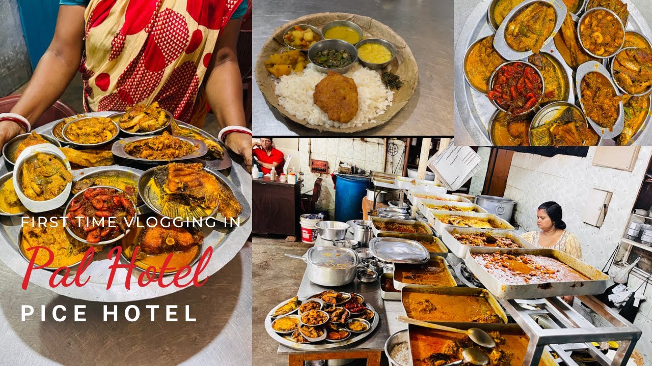 Only ₹60 UNLIMITED😱থালি এখন Durgapure😋Nonveg food heaven🤤