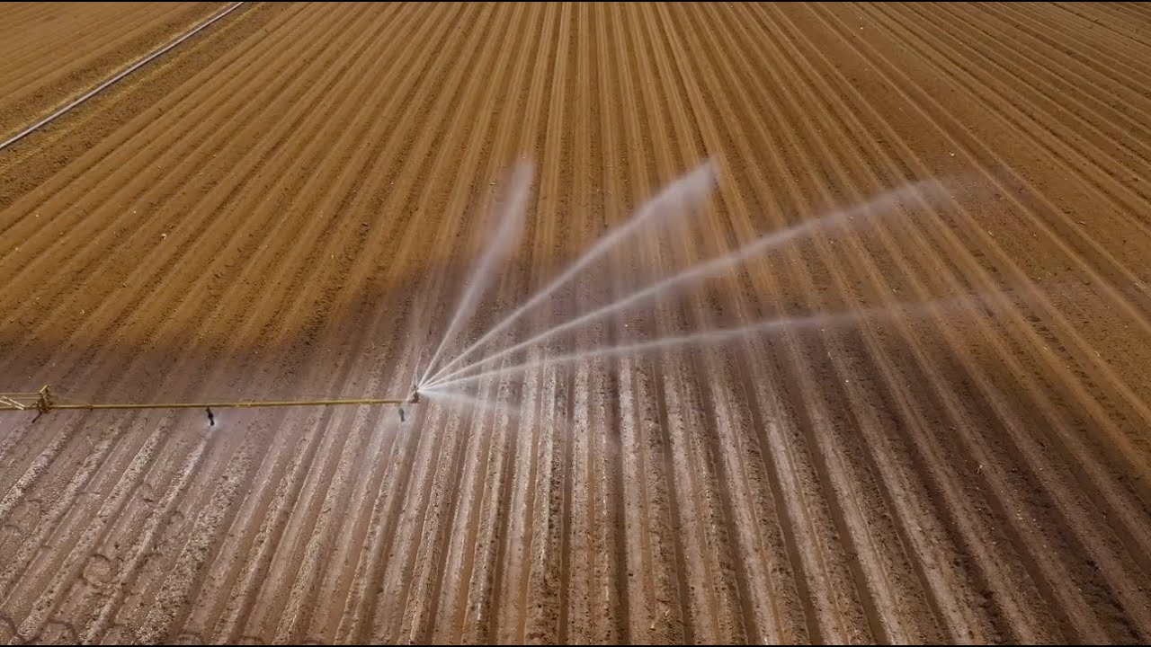 Module 13: Surface Irrigation