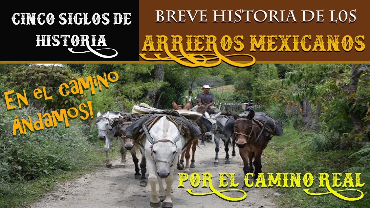 BREVE HISTORIA DE LOS ARRIEROS MEXICANOS