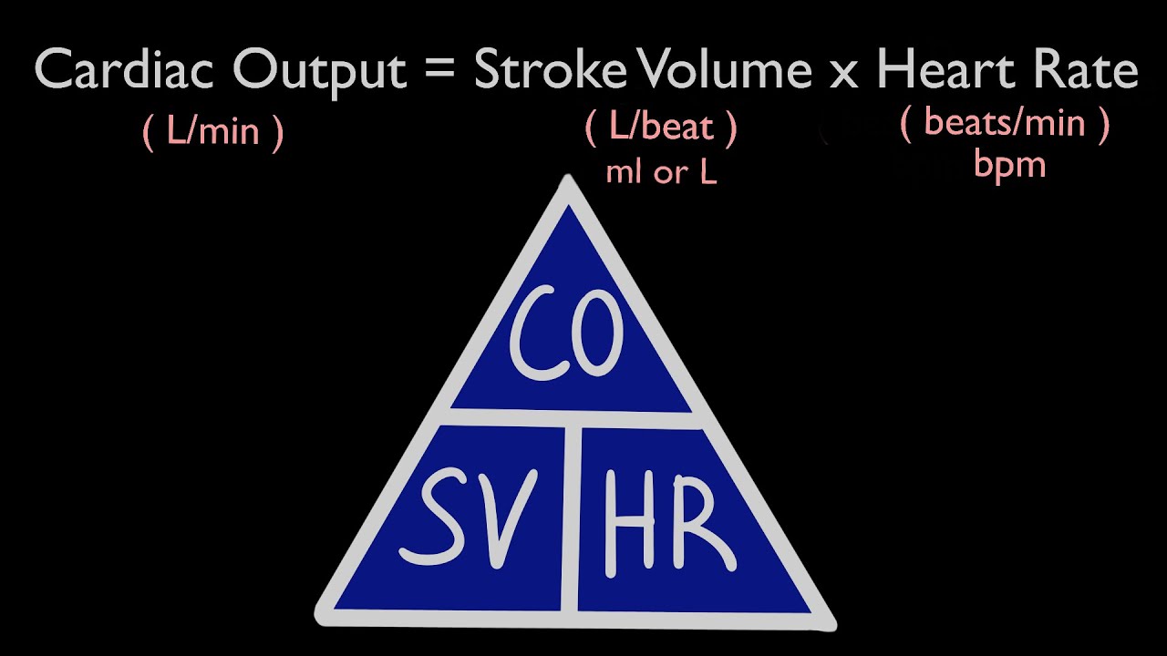 Cardiac Output, Stroke Volume and Heart Rate