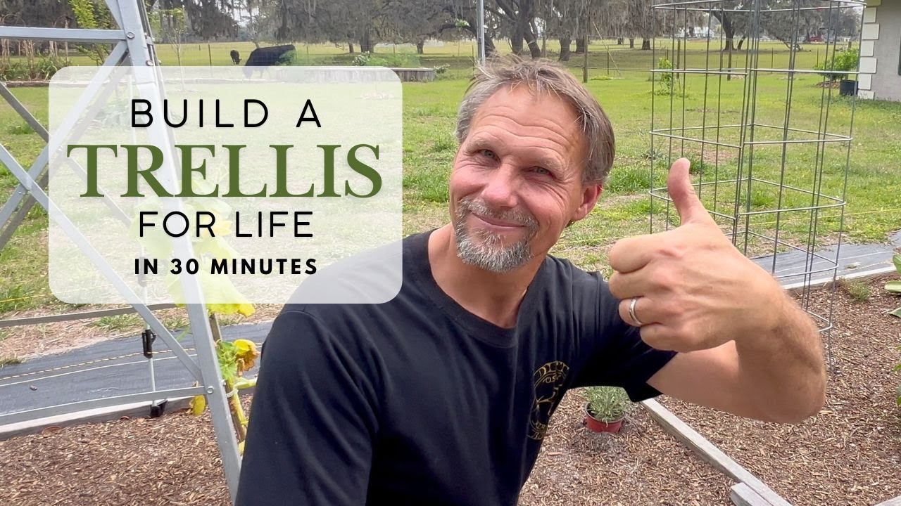 How to Build a Strong Garden Trellis (Fast & Easy)