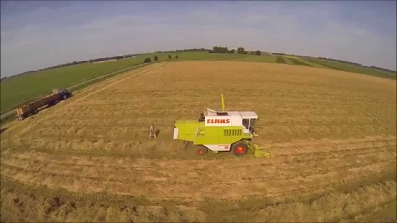 graszaad dorsen 2014
