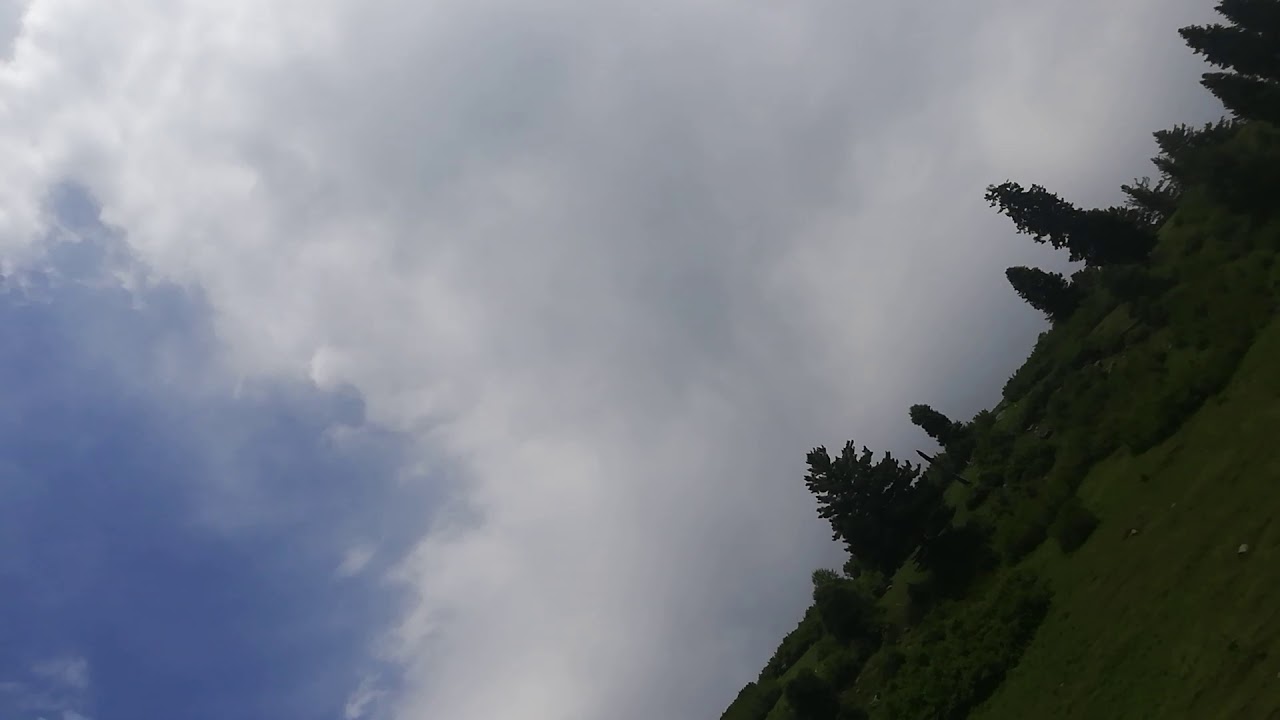 Shunjo Bahrain swat