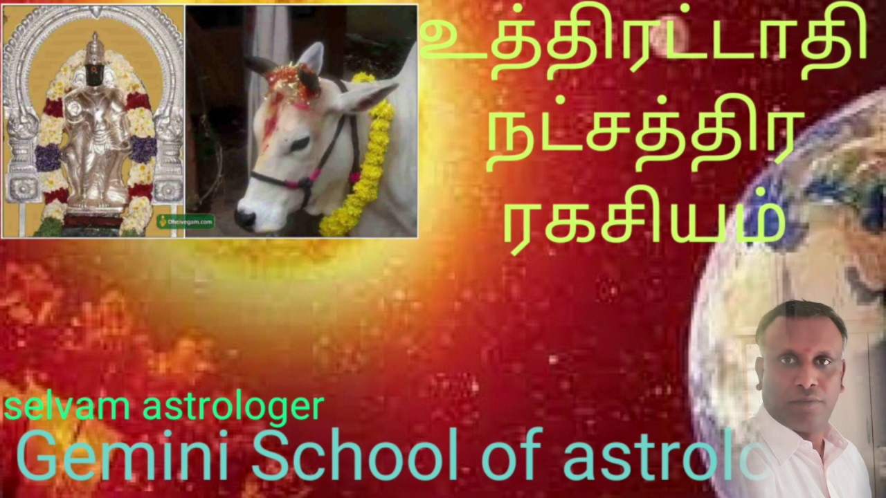 uthratadhi nakshatra ragasiyam|உத்திரட்டாதி நட்சத்திர பலன்|மீன ராசி |நட்சத்திர அடிப்படை பலன்|T