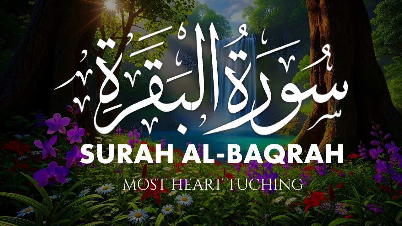 Surah Al-Baqarah: The Chapter That Protects Your Home | Islamic Healing & Ruqyah
