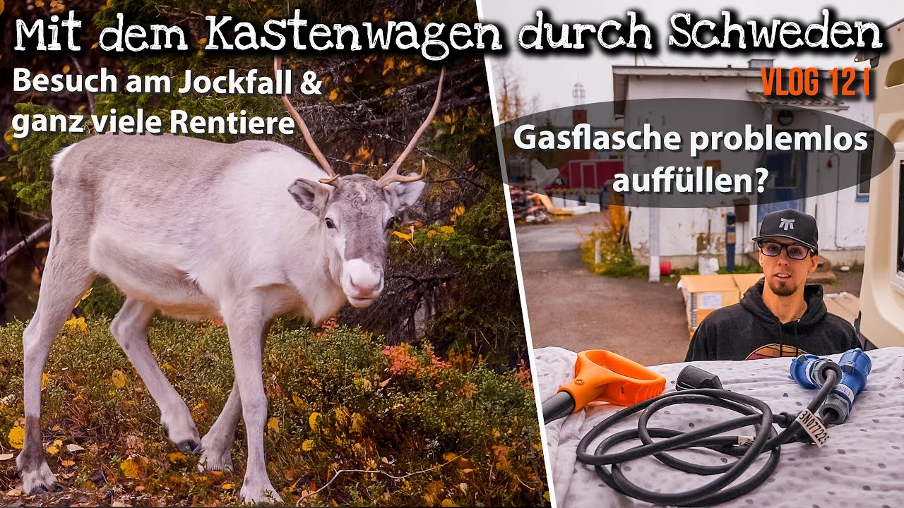 Gasflasche in Schweden auffüllen, Rentiere, Jockfall  -  Mit dem Wohnmobil durch Schweden VLOG12i