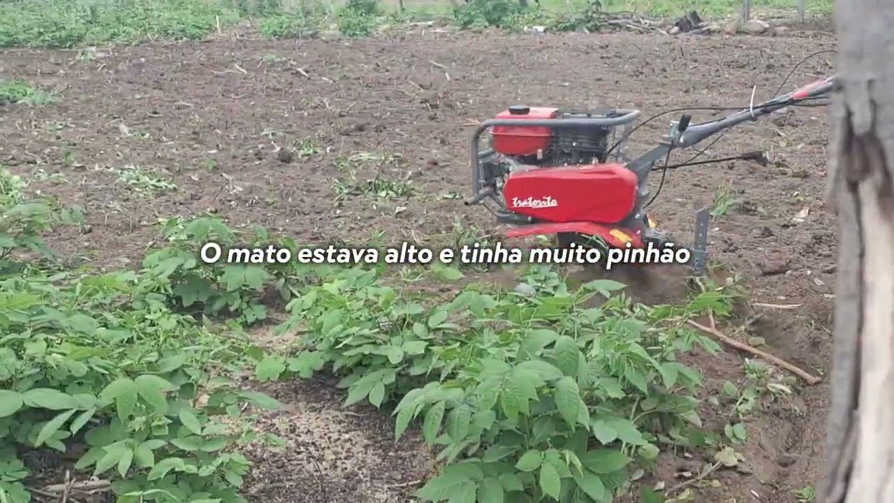 Motocultivador funciona no mato grande? 