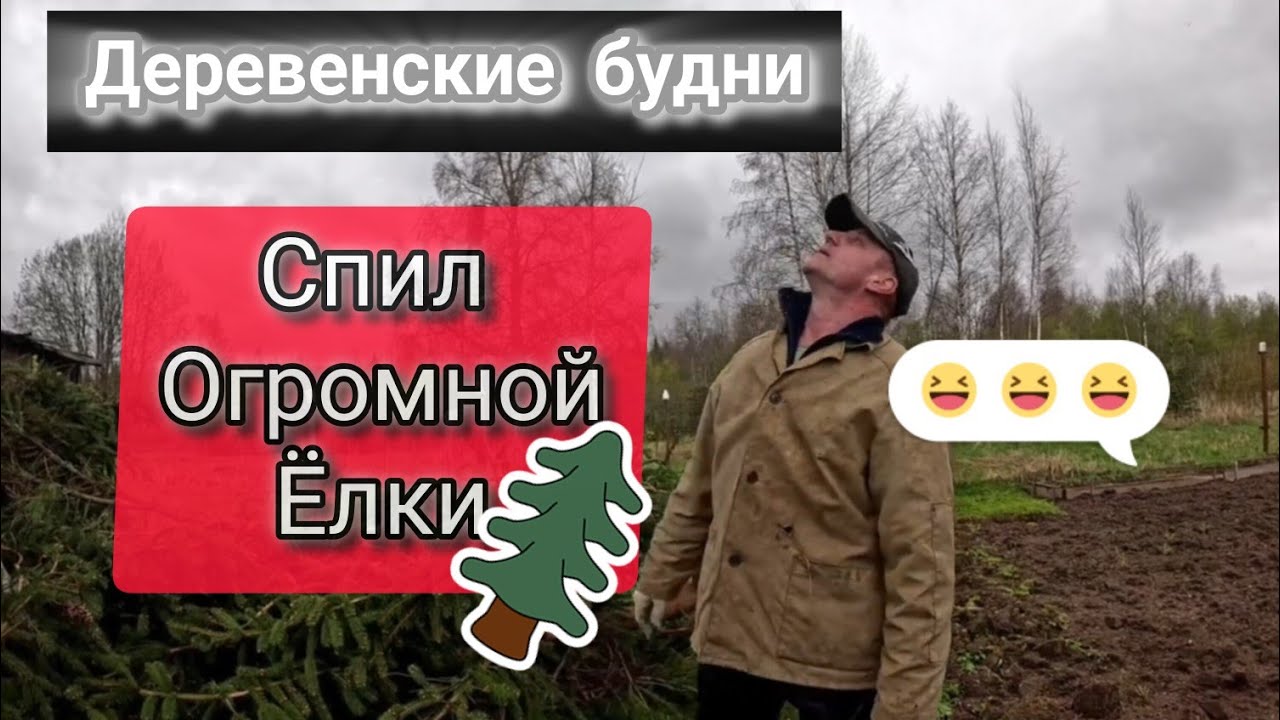Жизнь в глухой деревне 2 / Спил Огромной Ели! Просьба убрать детей от экрана!