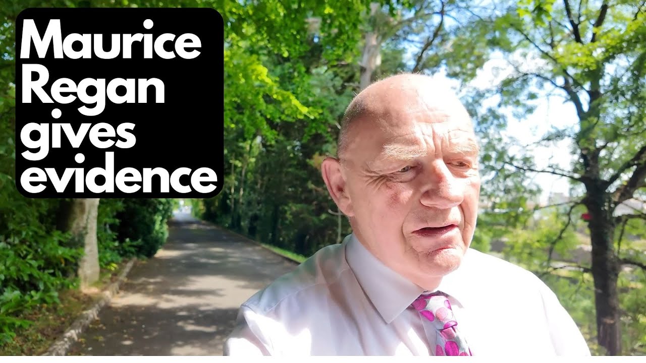 Maurice Regan gives evidence in the Magnier/Barne Estate case