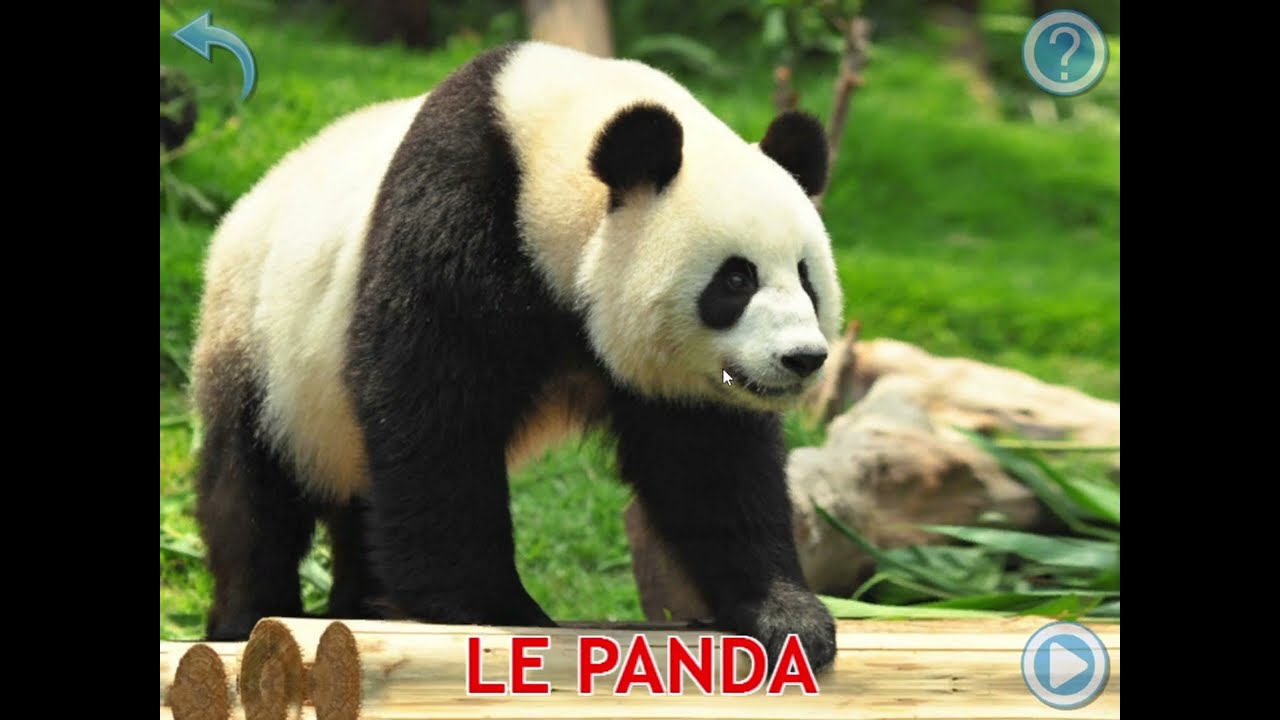 أسماء الحيوانات بالفرسية للأطفال les noms des animaux et leur voix