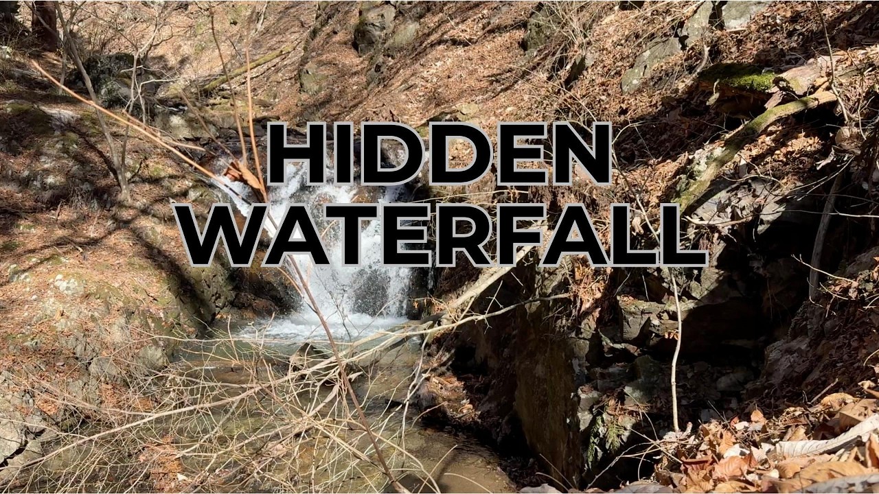 Hidden Waterfall in the Japanese Mountains | Relaxing Nature Sounds