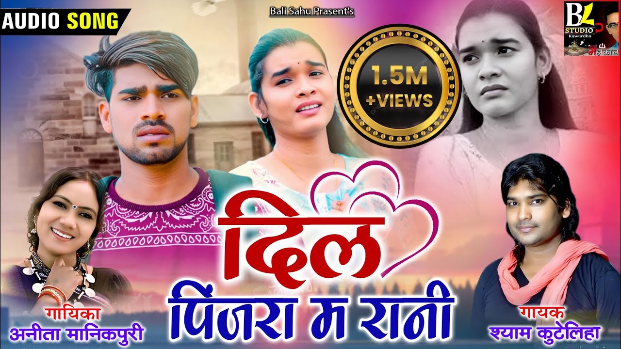 SYAM KUTELIHA NEW CG LOVE SONG || DIL PINJARA MA RANI || दिल पिंजरा म रानी || श्याम कुटेलिहा अनिता||