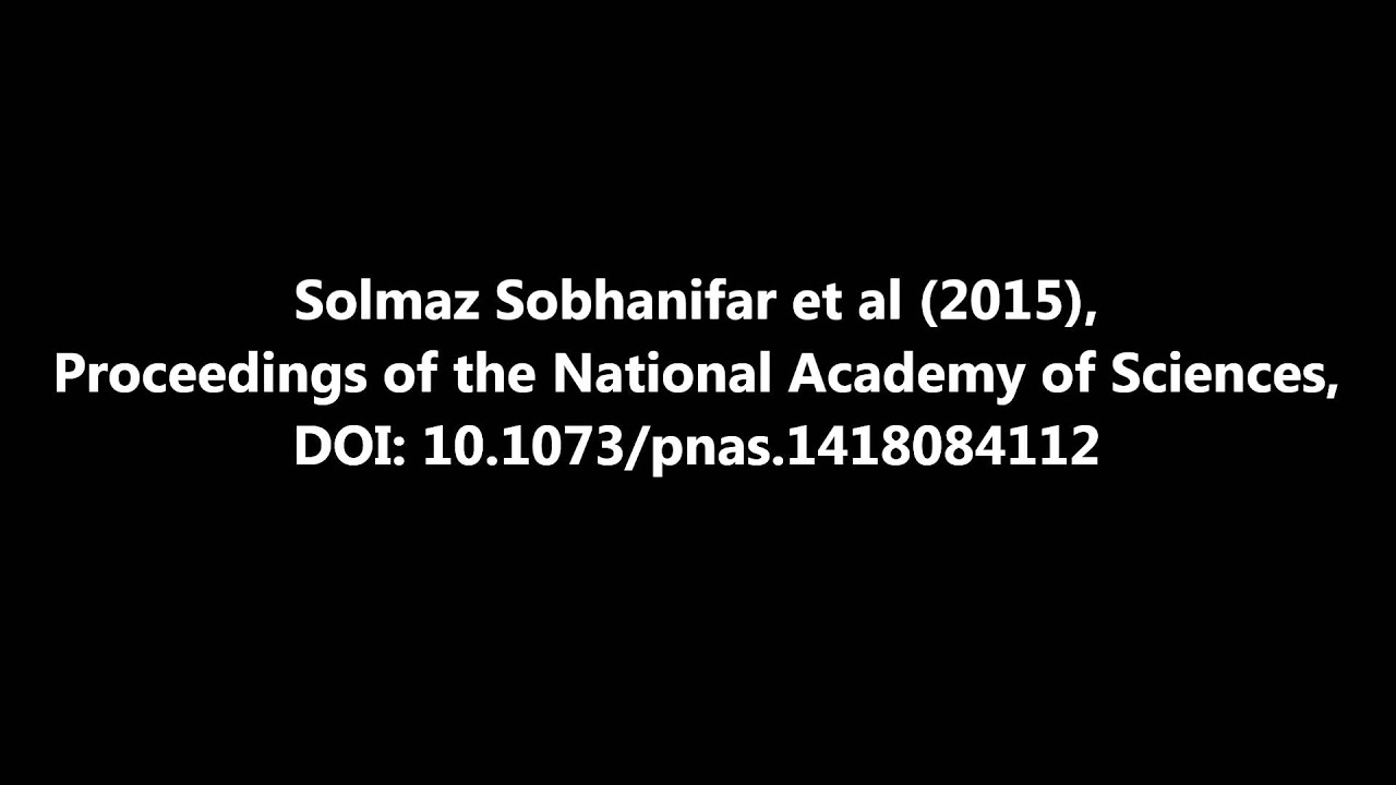 PNAS : Structure and mechanism of Staphylococcus aureus TarM, the wall teichoic acid...