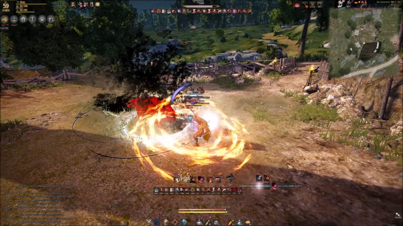 Black Desert - Warrior vs Tamer #1 - PvP - Biddo