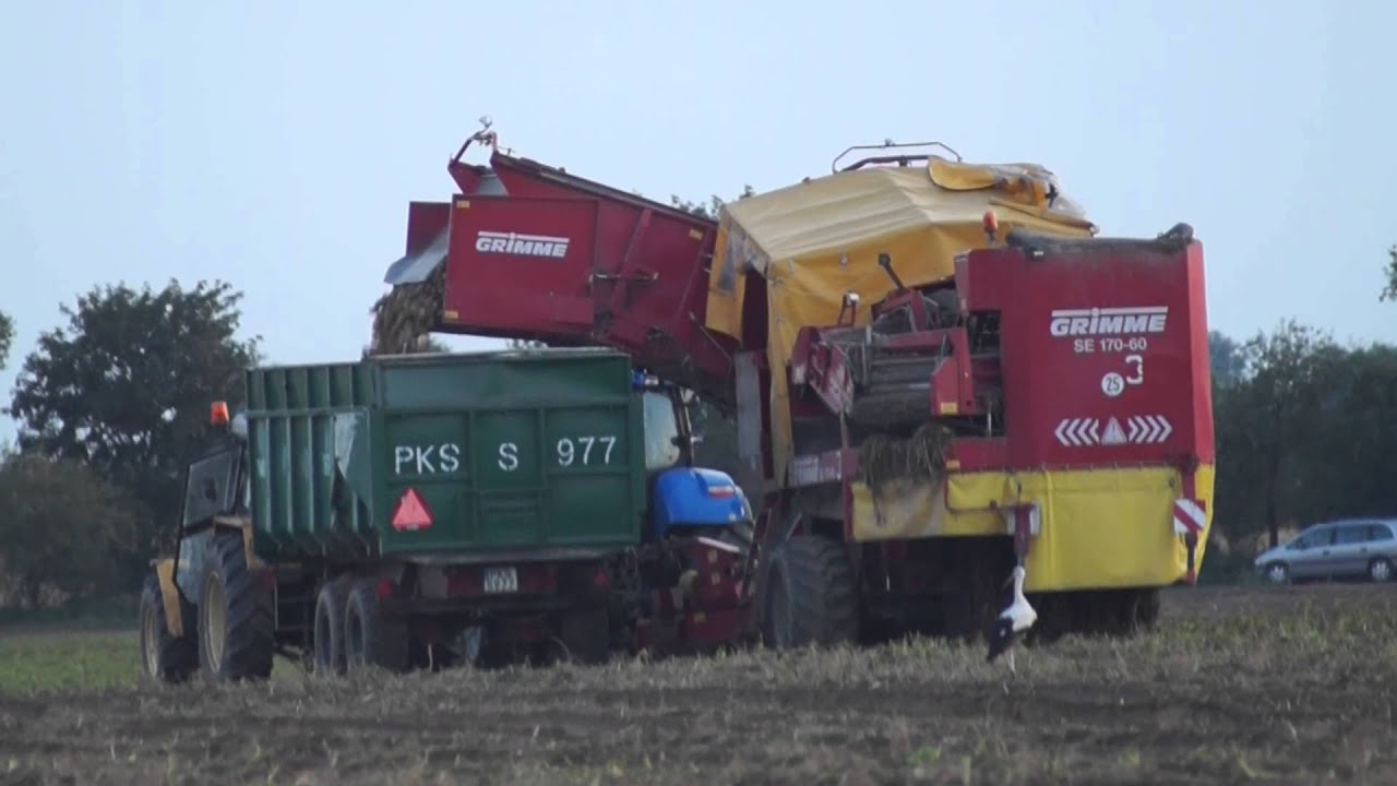 Wielkie wykopki w Top Farms Wielkopolska 2014