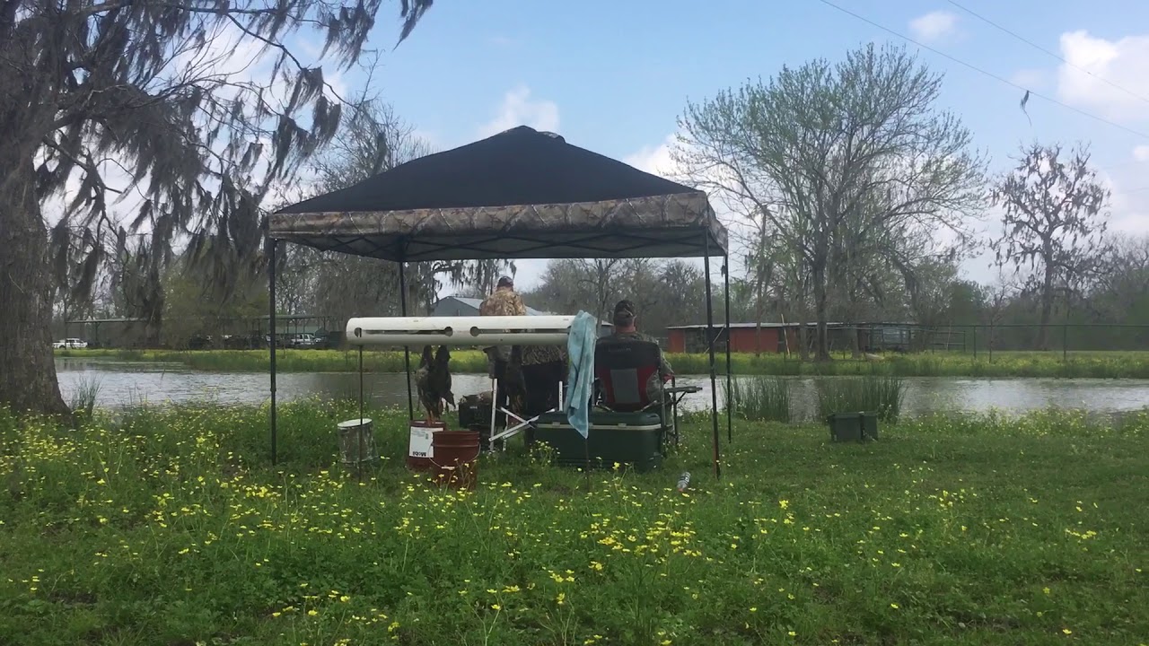 Burge's Duck Dogs - Axle running water in Dayton