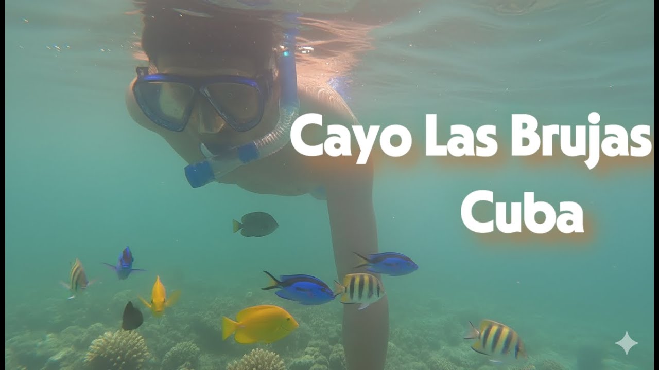 Snorkeling at Grand Aston Cayo Las Brujas Resort Beach, Cuba